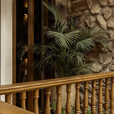 New Colonial House In Villa